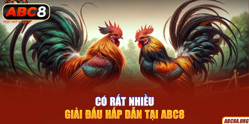 co-rat-nhieu-giai-dau-hap-dan-tai-abc8