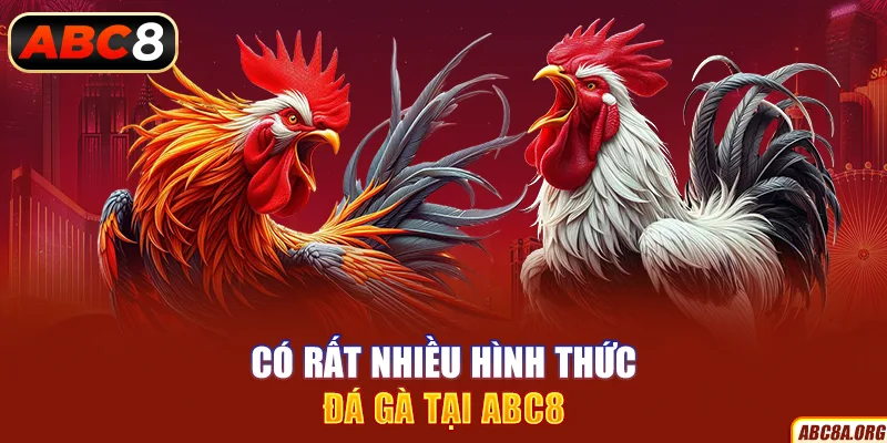 co-rat-nhieu-hinh-thuc-da-ga-tai-abc8