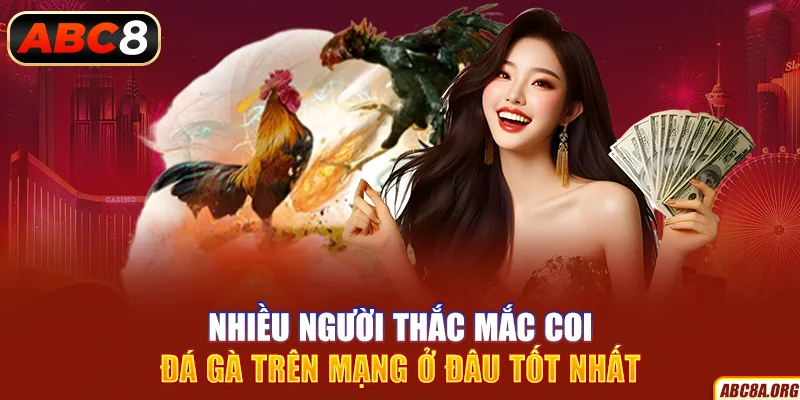 nhieu-nguoi-thac-mac-coi-da-ga-tren-mang-o-dau-tot-nhat