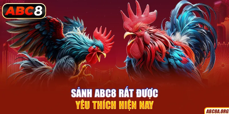 sanh-abc8-rat-duoc-yeu-thich-hien-nay