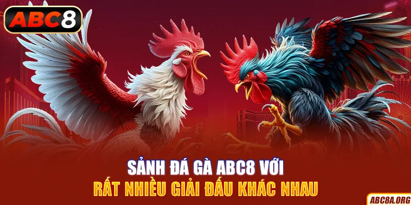 sanh-da-ga-abc8-voi-rat-nhieu-giai-dau-khac-nhau