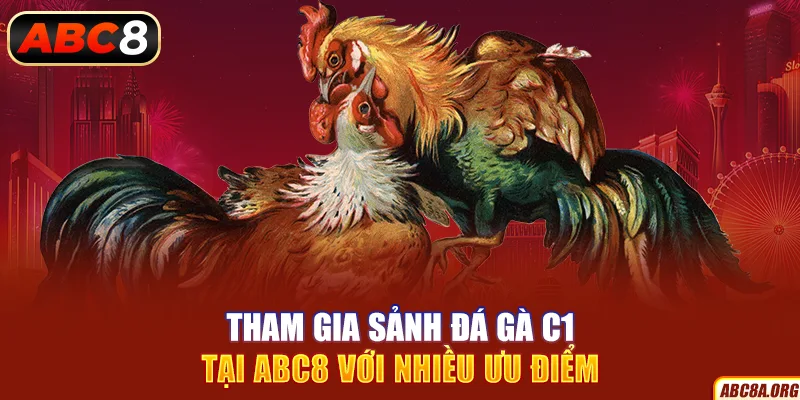 tham-gia-sanh-da-ga-c1-tai-abc8-voi-nhieu-uu-diem