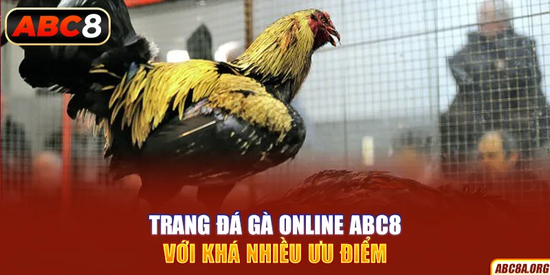 trang-da-ga-online-abc8-voi-kha-nhieu-uu-diem